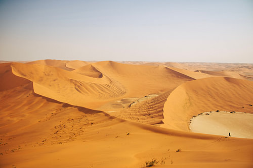 Big Daddy Dune