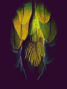 Plumes d'un oiseau, d'un perroquet