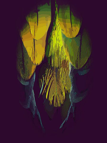 Plumes d'un oiseau, d'un perroquet par The Art Kroep