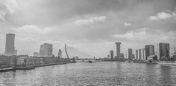 Skyline van Rotterdam van Ron Kleinjans