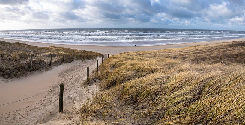 sea view by Arjan van Duijvenboden