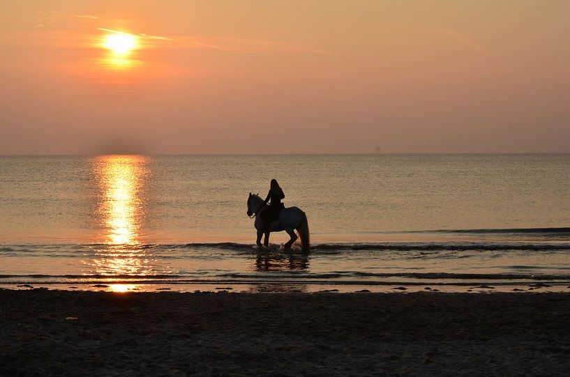 Seahorse by Erik Johansson