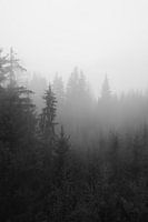 Oostenrijkse bergen in de mist