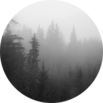 Oostenrijkse bergen in de mist van Amy Hengst