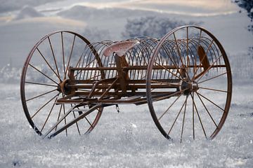 Antieke hooihark op wielen van Jaap Bosma Fotografie