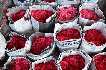 Rote Rosensträuße in Zeitungspapier auf dem Chatuchak-Wochenendmarkt in Bangkok von My Footprints