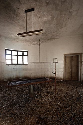 Morgue Di R