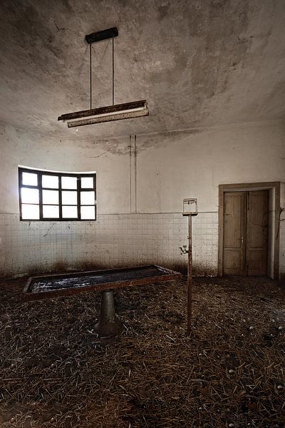 Morgue Di R von Kirsten Scholten