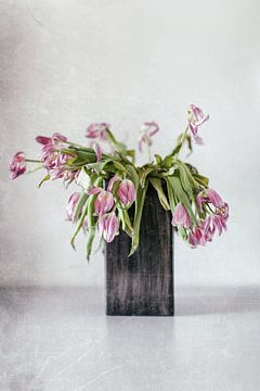 Tulpen vergaan.... (III)