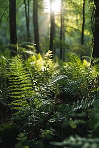 Faszination Wald