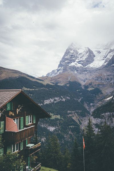 Interlaken Schweiz von Tom in 't Veld