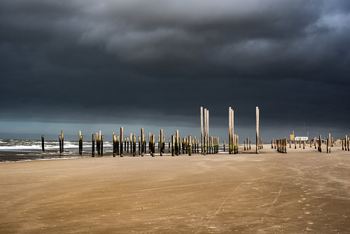 Petten am Meer