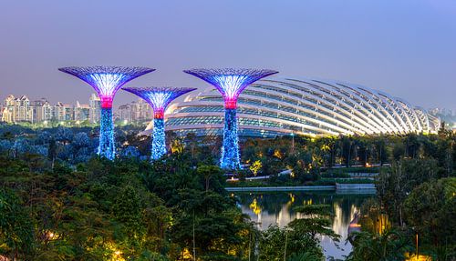 Supertree Grove, Singapore