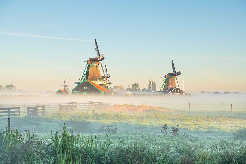 Windmills in the morning mist at Zaanse Schans by Pieter Struiksma