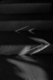 Zeilen II von Ilse Leijtens