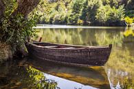 Boot op de rivier van Omri Raviv thumbnail