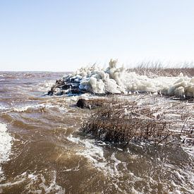 Een ijzig koud wad van Roel Bergsma