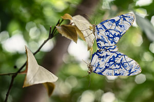 Vlinder wanddecoratie – Delfts blauwe vlinders met Van Gogh amandelbloesem