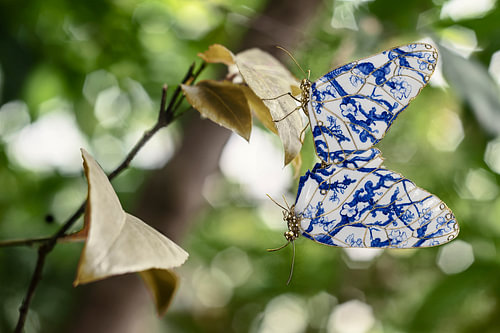 Wanddekoration mit Schmetterlingen – Delfter Blau-Schmetterlinge mit Van-Gogh-Mandelblüten von Elianne van Turennout