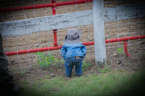 Mini cowboy