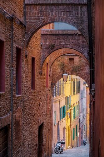 Siena