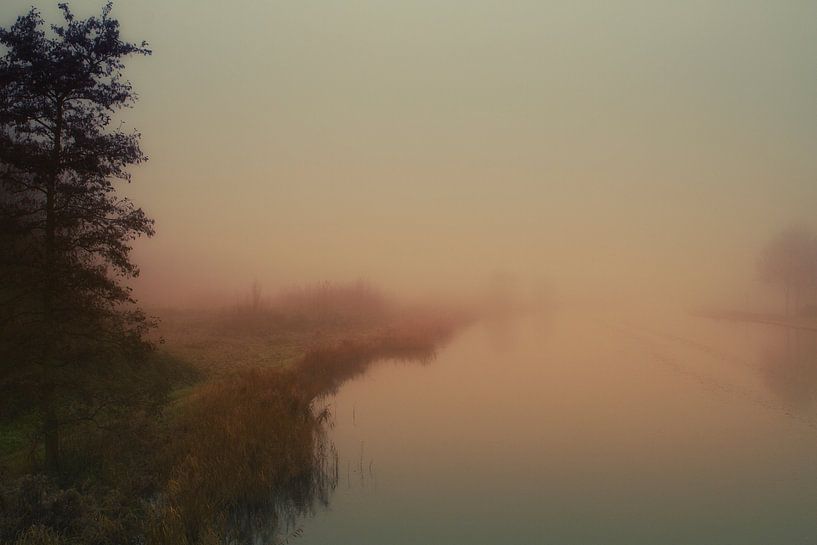 Morgennebel von Hans Sluimer
