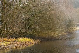 ditch side with hoarfrost by Stobbe; stiltegrafie