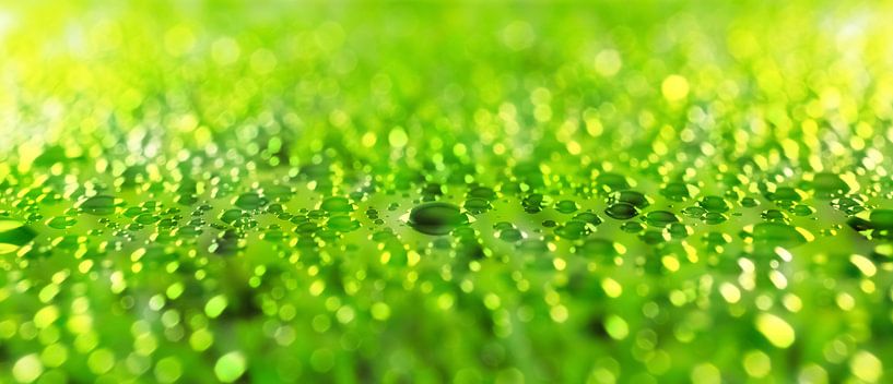 gouttes d'eau rafraîchissante extraites par Dörte Bannasch