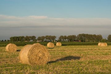 Rouleaux de foin dans la belle lumière du soir sur Moetwil en van Dijk - Fotografie