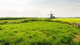 Dutch polder area with windmill by Ruud Morijn