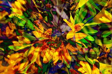 Zonnehoed, bloemen, abstract, (Rudbeckia fulgida)
