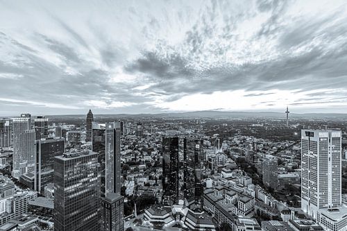Banking district in Frankfurt am Main - Monochrome by Werner Dieterich