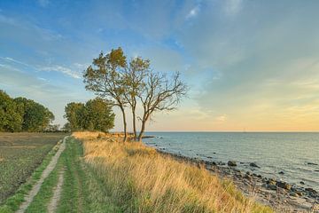 Steilküste Staberhuk auf Fehmarn von Michael Valjak