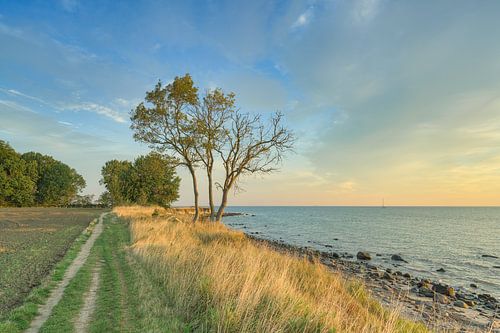 Steilküste Staberhuk auf Fehmarn