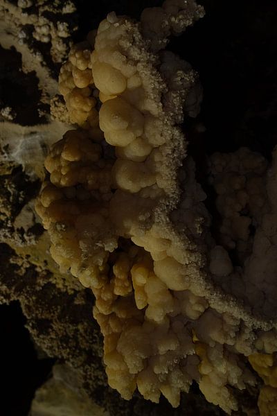 Ali-Sadr Cave van Maarten Verhees