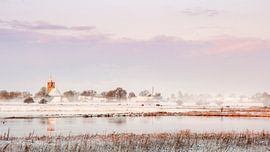 Zalk im Winter von Erik Veldkamp