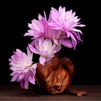 Stilleven Colchicum