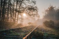 Sonnenaufgang an der alten Borkensebaan