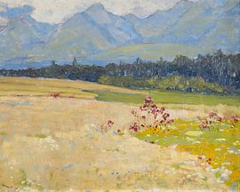 Lonely Field by Antonije Lazovic