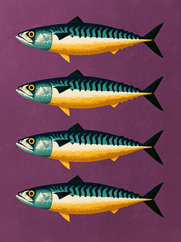 Maquereaux – Illustration rétro sur le thème de la mer