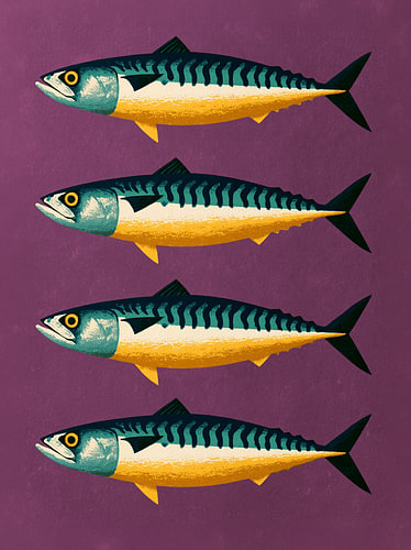 Makrelen – Maritime Retro Illustration