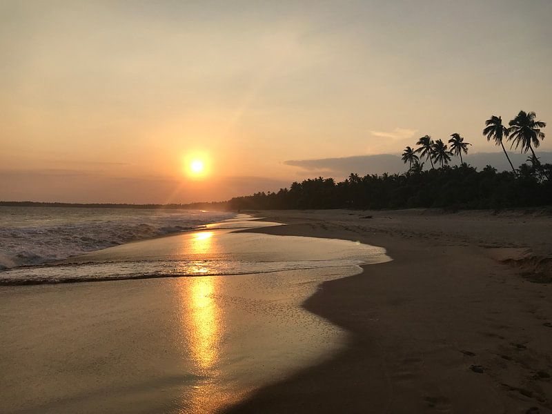 Setting sun Sri Lanka by stephanie van gent