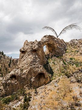Fantasy rots landschap in de vorm van een draak