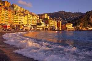 Côte de Camogli