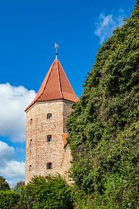 Blick auf Lagebuschturm in der Hansestadt Rostock