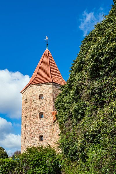 Vue du Lagebuschturm dans la ville hanséatique de Rostock par Rico Ködder