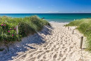 Weg zum Strand in Ahrenshoop