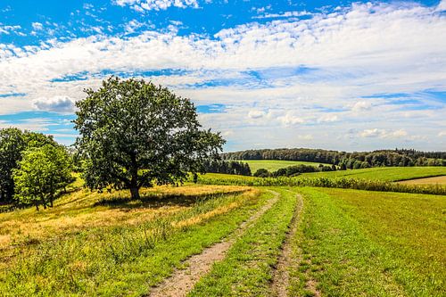 Landscape near Dürres But, Germany