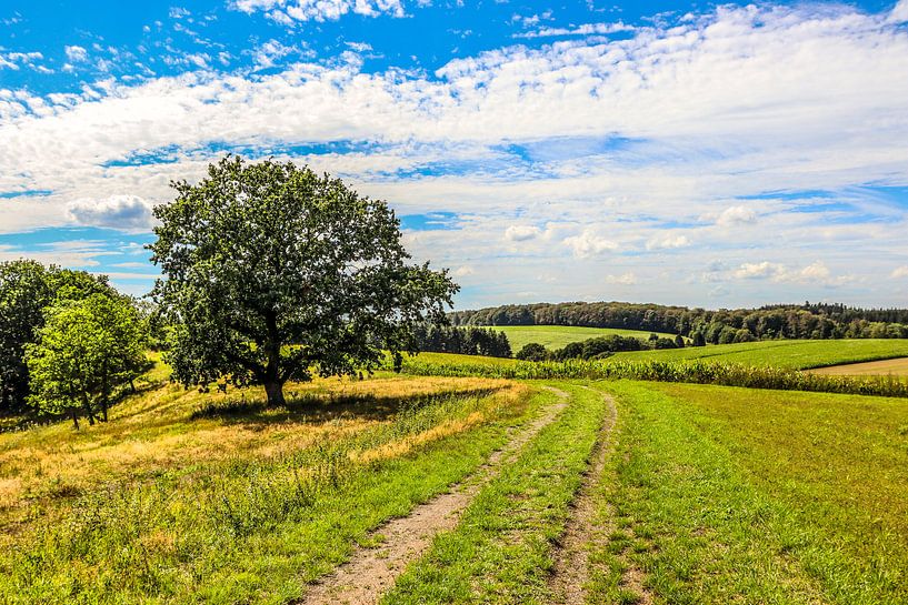 Landscape near Dürres But, Germany by Lukas Coenraats