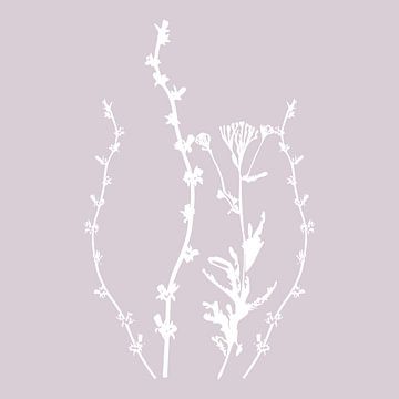 Botanica Delicata. Abstracte Retro Botanical in Zilver Mauve lichtroze van Dina Dankers